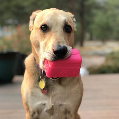 Show full view: SodaPup Surfs up Retro Van Tough Dog Treat Dispenser Toy, Green, Medium/Large slide 6 of 8