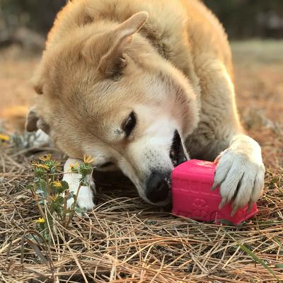 Show full view: SodaPup Surfs up Retro Van Tough Dog Treat Dispenser Toy, Green, Medium/Large slide 4 of 8