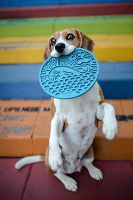 Show full view: SodaPup Whale Dog Lick Mat, Blue, Large slide 3 of 5