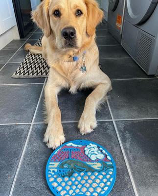 Show full view: SodaPup Whale Dog Lick Mat, Blue, Large slide 4 of 5