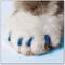 Show in main carousel: Soft Claws Cat Nail Caps, 40 count, Large, Blue slide 5 of 9