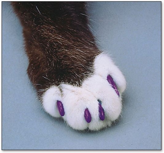 SOFT CLAWS Cat Nail Caps, 40 count, Large, Purple