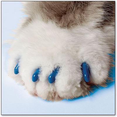 Show full view: Soft Claws Cat Nail Caps, 40 count, Medium, Blue slide 5 of 8