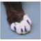 Show in main carousel: Soft Claws Cat Nail Caps, 40 count, Medium, Purple slide 5 of 9