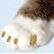 Show in main carousel: Soft Claws Cat Nail Caps, 40 count, Small, Gold Sparkle slide 5 of 8