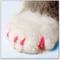 Show in main carousel: Soft Claws Cat Nail Caps, 40 count, Small, Pink slide 5 of 9