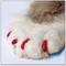 Show in main carousel: Soft Claws Cat Nail Caps, 40 count, Small, Red slide 5 of 9