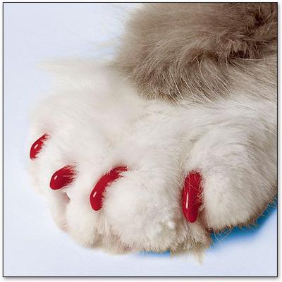 Show full view: Soft Claws Cat Nail Caps, 40 count, Small, Red slide 5 of 9