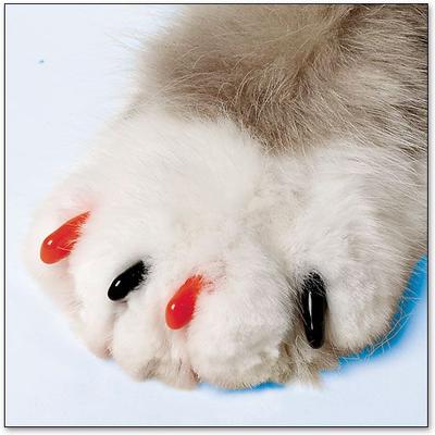 Show full view: Soft Claws Cat Nail Caps, Black/Orange, 40 count, Small slide 5 of 6