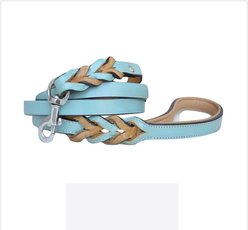 Soft Touch Collars Leather Braided Two-Tone Dog Leash, Turquoise Beige, 6-ft, 3/4-in