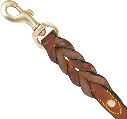 Show full view: Soft Touch Collars Leather Braided Two-Tone Handle Dog Leash, Brown Pink, 6-ft, 3/4-in slide 6 of 8