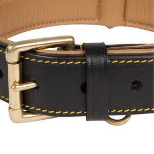 Soft Touch Collars Leather Two-Tone Padded Dog Collar, Black, Large 