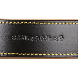 Soft Touch Collars Leather Two-Tone Padded Dog Collar, Black, Large 