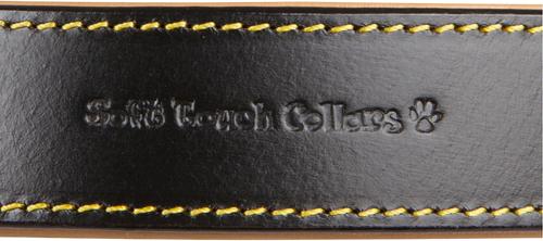 Show full view: Soft Touch Collars Leather Two-Tone Padded Dog Collar, Black, Medium  slide 4 of 10