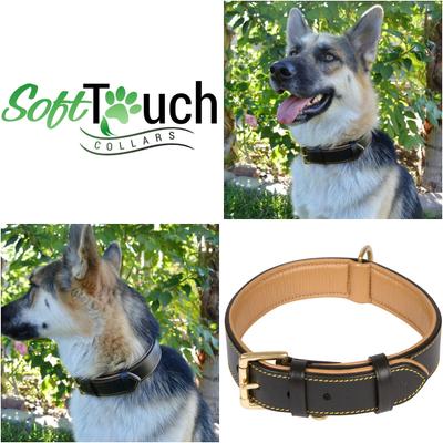 Show full view: Soft Touch Collars Leather Two-Tone Padded Dog Collar, Black, Medium  slide 6 of 10