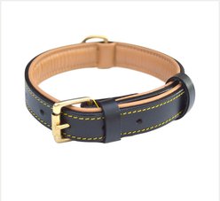 Soft Touch Collars Leather Two-Tone Padded Dog Collar, Black, Small 