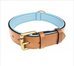 Soft Touch Collars Leather Two-Tone Padded Dog Collar, Tan Teal, Large 