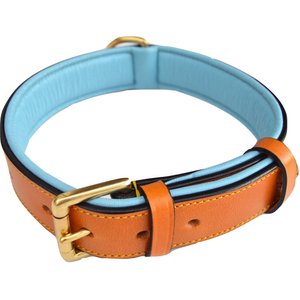 Soft Touch Collars Leather Two-Tone Padded Dog Collar, Tan Teal, Large 