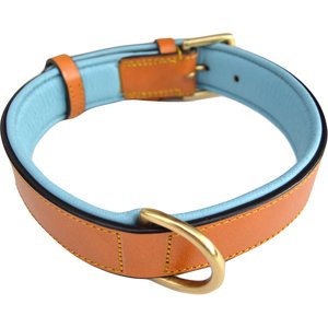 Soft Touch Collars Leather Two-Tone Padded Dog Collar, Tan Teal, Large 