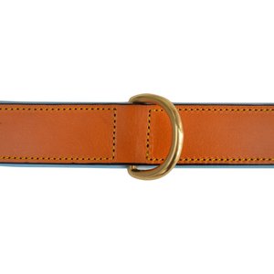 Soft Touch Collars Leather Two-Tone Padded Dog Collar, Tan Teal, Large 