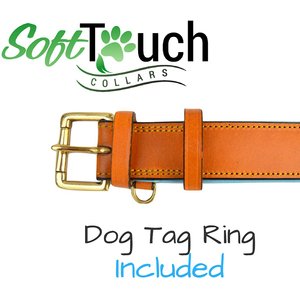 Soft Touch Collars Leather Two-Tone Padded Dog Collar, Tan Teal, Large 
