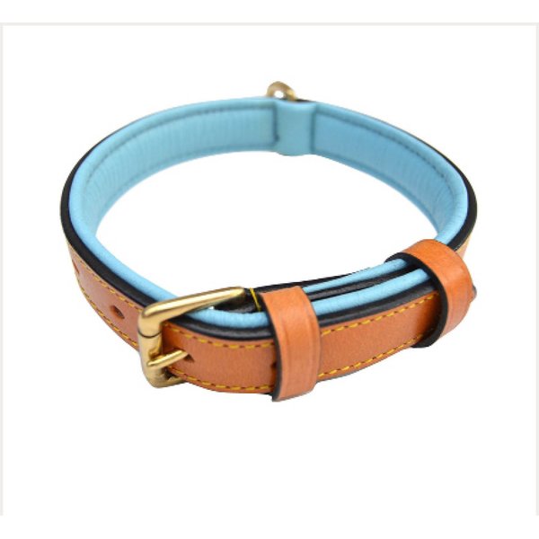 SOFT TOUCH COLLARS Leather Two-Tone Padded Dog Collar, Tan Teal