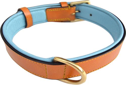 Show full view: Soft Touch Collars Leather Two-Tone Padded Dog Collar, Tan Teal, Medium  slide 3 of 10