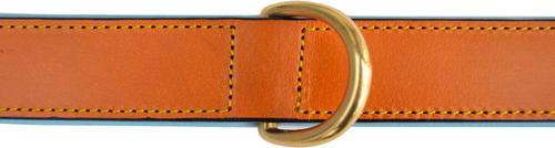 Show full view: Soft Touch Collars Leather Two-Tone Padded Dog Collar, Tan Teal, Medium  slide 5 of 10