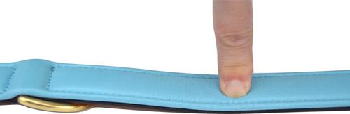 Show full view: Soft Touch Collars Leather Two-Tone Padded Dog Collar, Tan Teal, Medium  slide 6 of 10