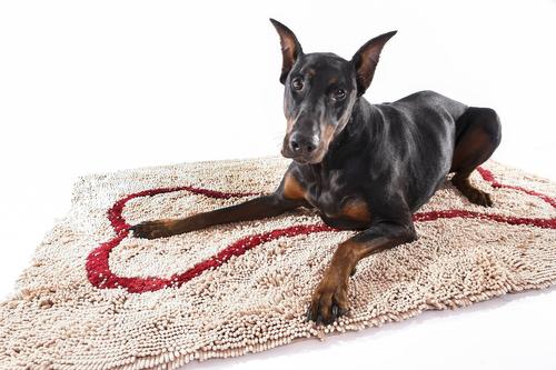 Show full view: Soggy Doggy Microfiber Doormat, Large, Beige slide 5 of 7