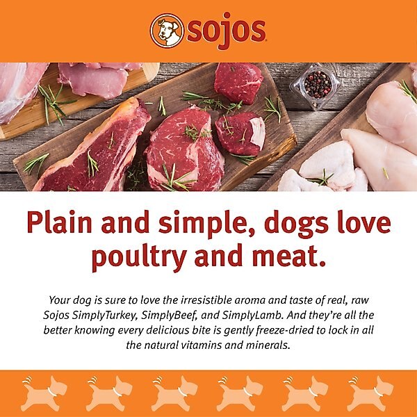 Sojos Simply Lamb Freeze-Dried Dog Treats, 4-oz bag