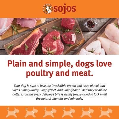 Show full view: Sojos Simply Lamb Freeze-Dried Dog Treats, 4-oz bag slide 3 of 8