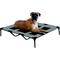 Show in main carousel: Solar Tec by Arlee Home & Pet Cooling Outdoor Elevated Pet Bed, Brown, X-large slide 1 of 11