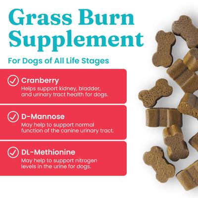 Show full view: Solid Gold Grass Burn Lawn Protection Soft Chews Urine Neutralizer Supplement for Dogs, 120 count slide 3 of 10