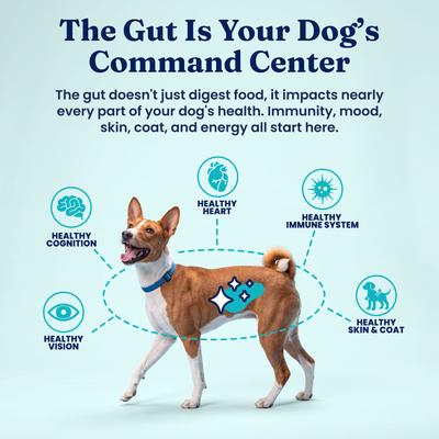 Show full view: Solid Gold Gut Health Kit Adult Chicken Dehydrated Meal, Bone Broth & Seameal Supplement Bundle Dog Food Topper, 6-lb box slide 7 of 10