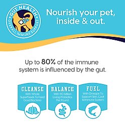 Solid Gold High Protein Wild Alaskan Pollock & Eggs Recipe Grain-Free Dry Cat Food, 24-lb bundle  slide 2 of 9