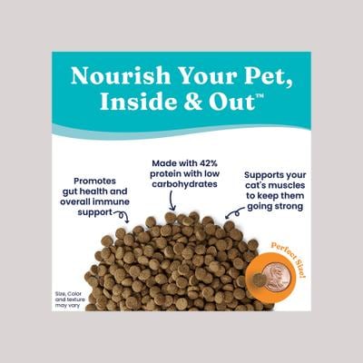 SOLID GOLD High Protein Wild Alaskan Pollock & Eggs Recipe Grain-Free ... - High Protein Calorically Dense Cat Food With Pollock
