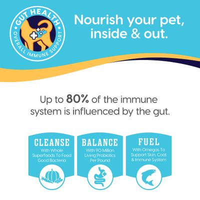 Show full view: Solid Gold High Protein Wild Alaskan Pollock & Eggs Recipe Grain-Free Dry Cat Food, 6-lb bundle  slide 9 of 12