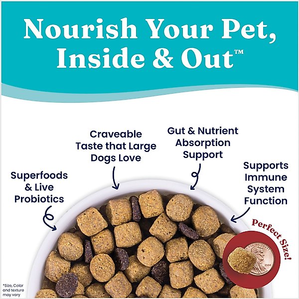 Show full view: Solid Gold Large Breed Gut Health Real Bison & Brown Rice Whole Grain Dry Dog Food, 22-lb bag slide 5 of 11
