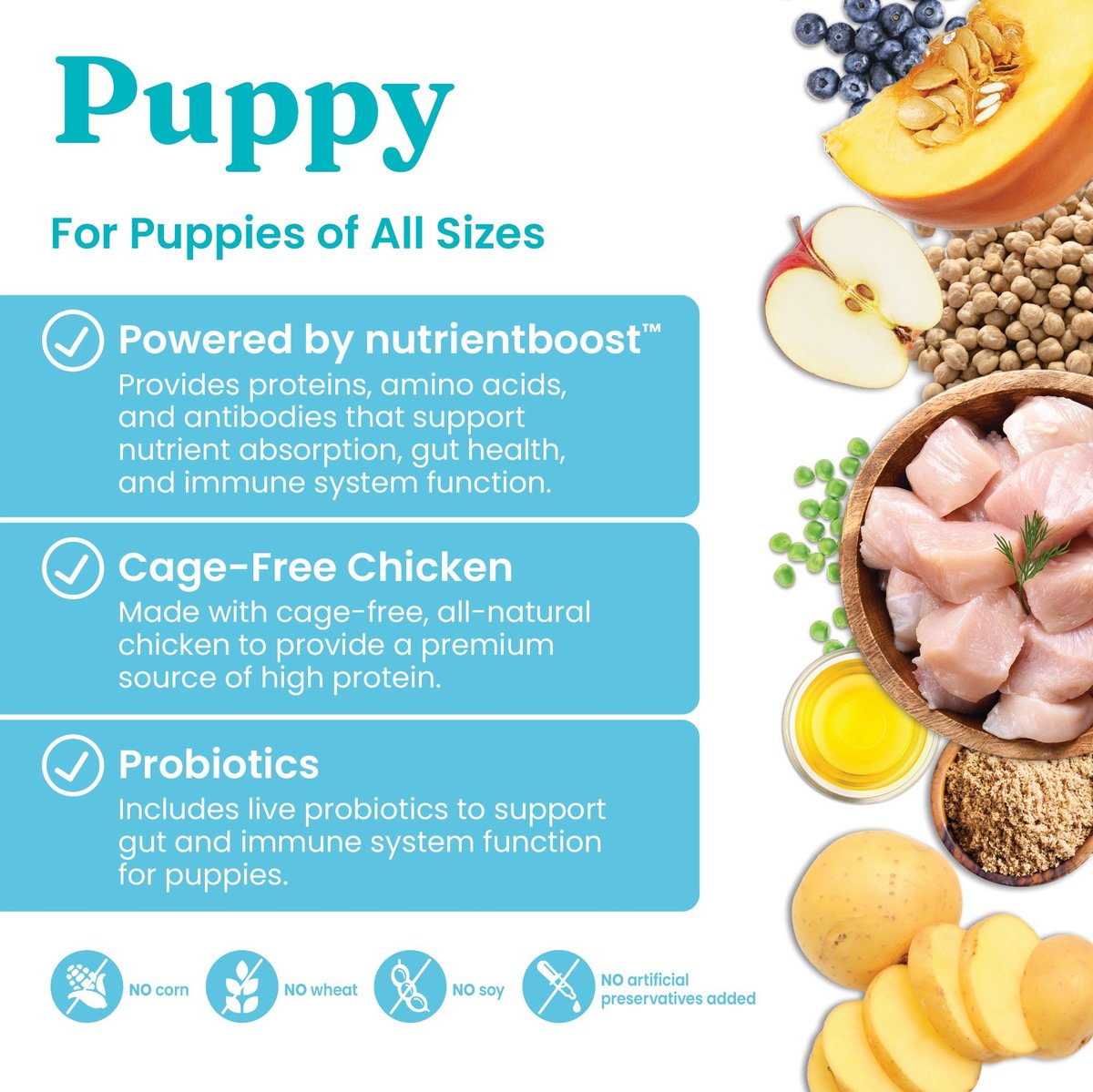 Picture of SOLID GOLD Puppy Gut Health Real Chicken Potato & Apple Grain-Free Dry ...