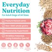 Show in main carousel: Solid Gold Real Lamb, Brown Rice & Pearled Barley Recipe Whole Grain Dry Dog Food, 24-lb bag slide 3 of 12