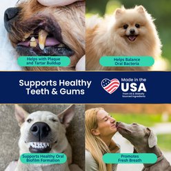 Solid Gold SeaMeal Dental Support Powder Breath Freshener Supplement for Cats & Dogs, 3.5-oz jar slide 2 of 9
