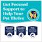 Show in main carousel: Solid Gold Sensitive Stomach Grain-Free Quail, Chickpea & Pumpkin Dry Dog Food, 24-lb bag slide 5 of 10