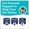 Show in main carousel: Solid Gold Sensitive Stomach Oatmeal, Pearled Barley & Ocean Fish Meal Whole Grain Dry Dog Food, 24-lb bag slide 5 of 10