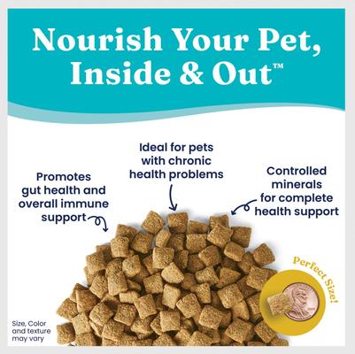 Show full view: Solid Gold Sensitive Stomach Oatmeal, Pearled Barley & Ocean Fish Meal Whole Grain Dry Dog Food, 4-lb bag slide 4 of 11