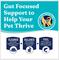 Show in main carousel: Solid Gold Sensitive Stomach Oatmeal, Pearled Barley & Ocean Fish Meal Whole Grain Dry Dog Food, 4-lb bag slide 5 of 11