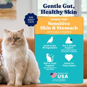 Solid Gold Sensitive Stomach Quail & Pumpkin Grain-Free Dry Cat Food, 3-lb bag