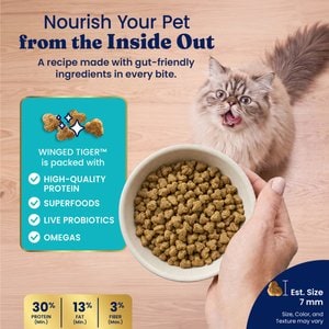 Solid Gold Sensitive Stomach Quail & Pumpkin Grain-Free Dry Cat Food, 3-lb bag