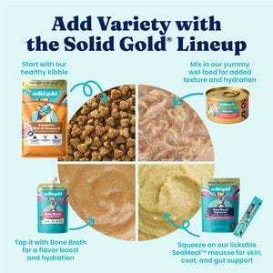 Solid Gold Sensitive Stomach Quail & Pumpkin Grain-Free Dry Cat Food, 3-lb bag