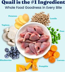 Solid Gold Sensitive Stomach Quail & Pumpkin Grain-Free Dry Cat Food, 6-lb bag slide 2 of 9